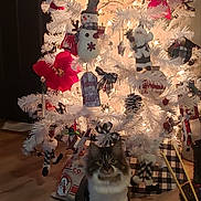 Baby joined the competition — help win amazing prizes! bow, cat, christmas_tree, cozy, decoration, festive, floor, fluffy_cat, holiday_decor, indoor, lights, ornaments, pet, plaid, poinsettia, seasonal, sitting, snowman, white_tree, wood_floor