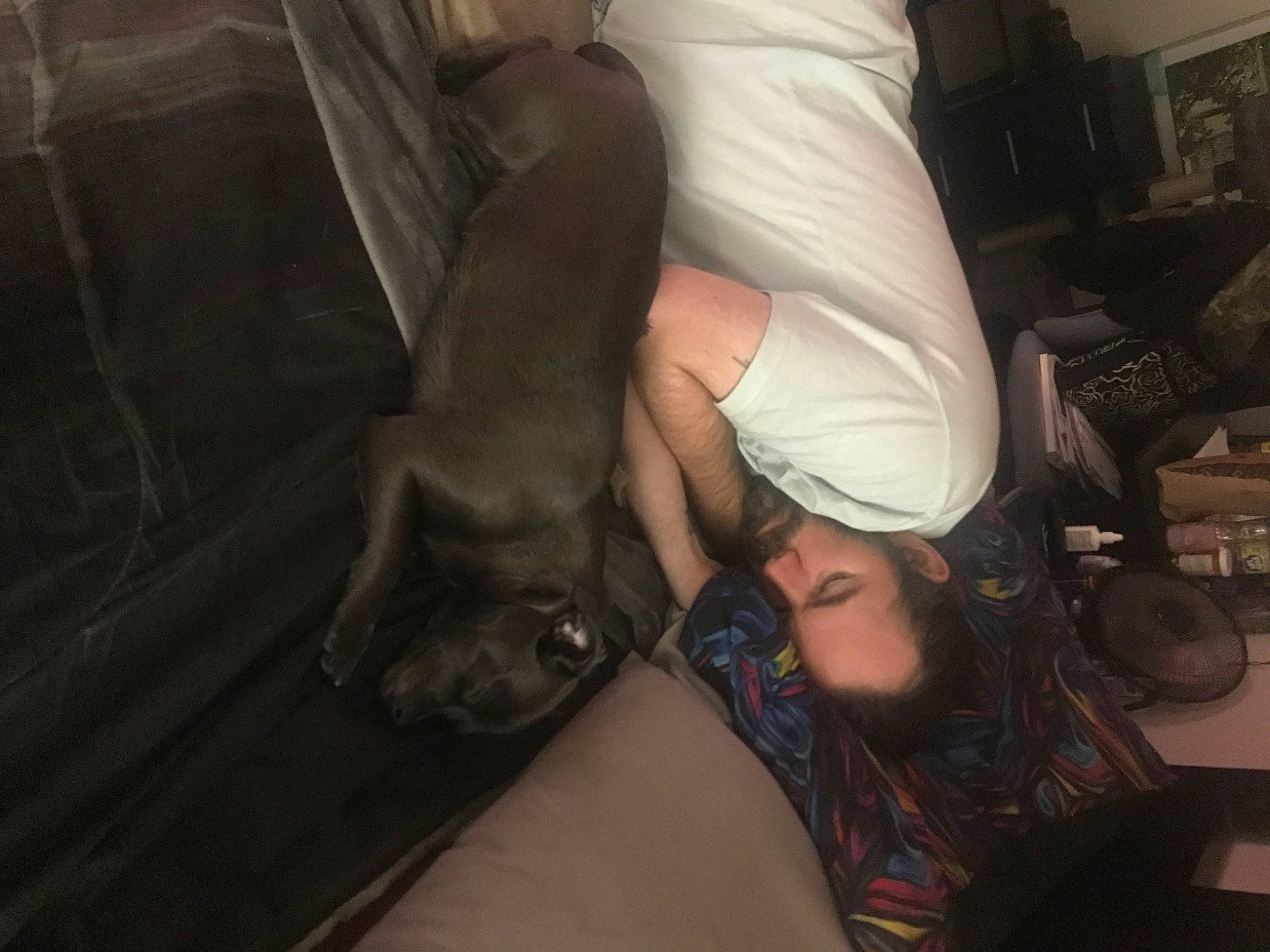 Kumi is registered to the contest to win money with this photo: black_hair, carnivore, comfort, companion_dog, dog, dress, elbow, flash_photography, flooring, foot, fun, gesture, human_body, human_leg, knee, leg, room, thigh, tree, wrist