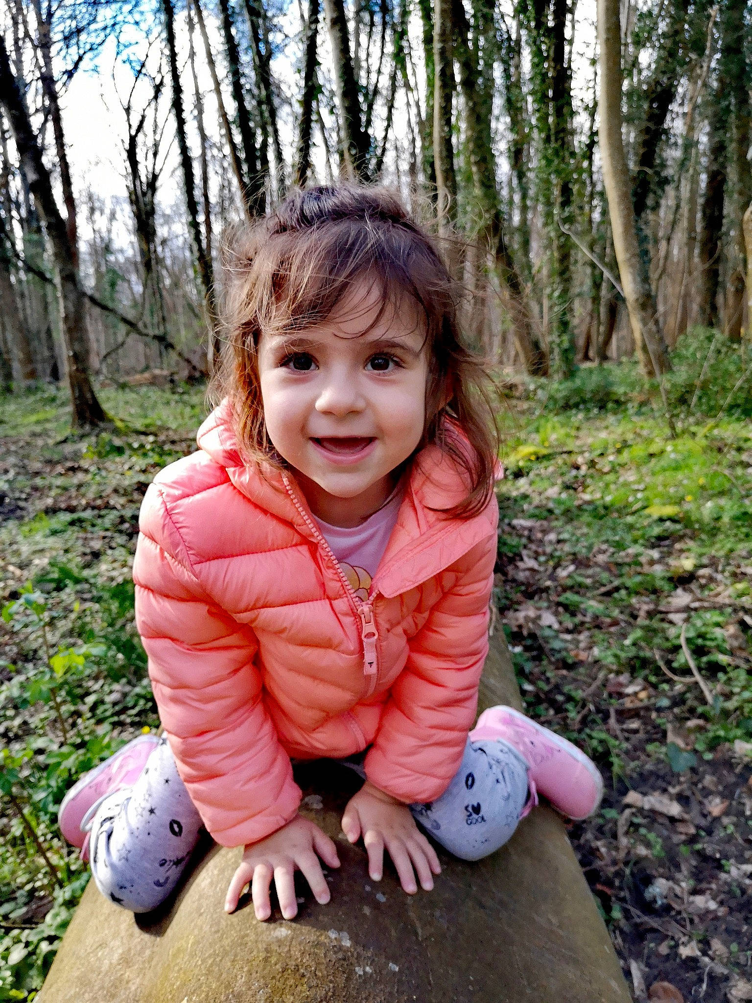 Gina participe au concours pour gagner de l'argent avec cette photo : child, child_model, fawn, fun, grass, happy, joy, person, photography, pink, plant, play, portrait_photography, sitting, smile, toddler, tree
