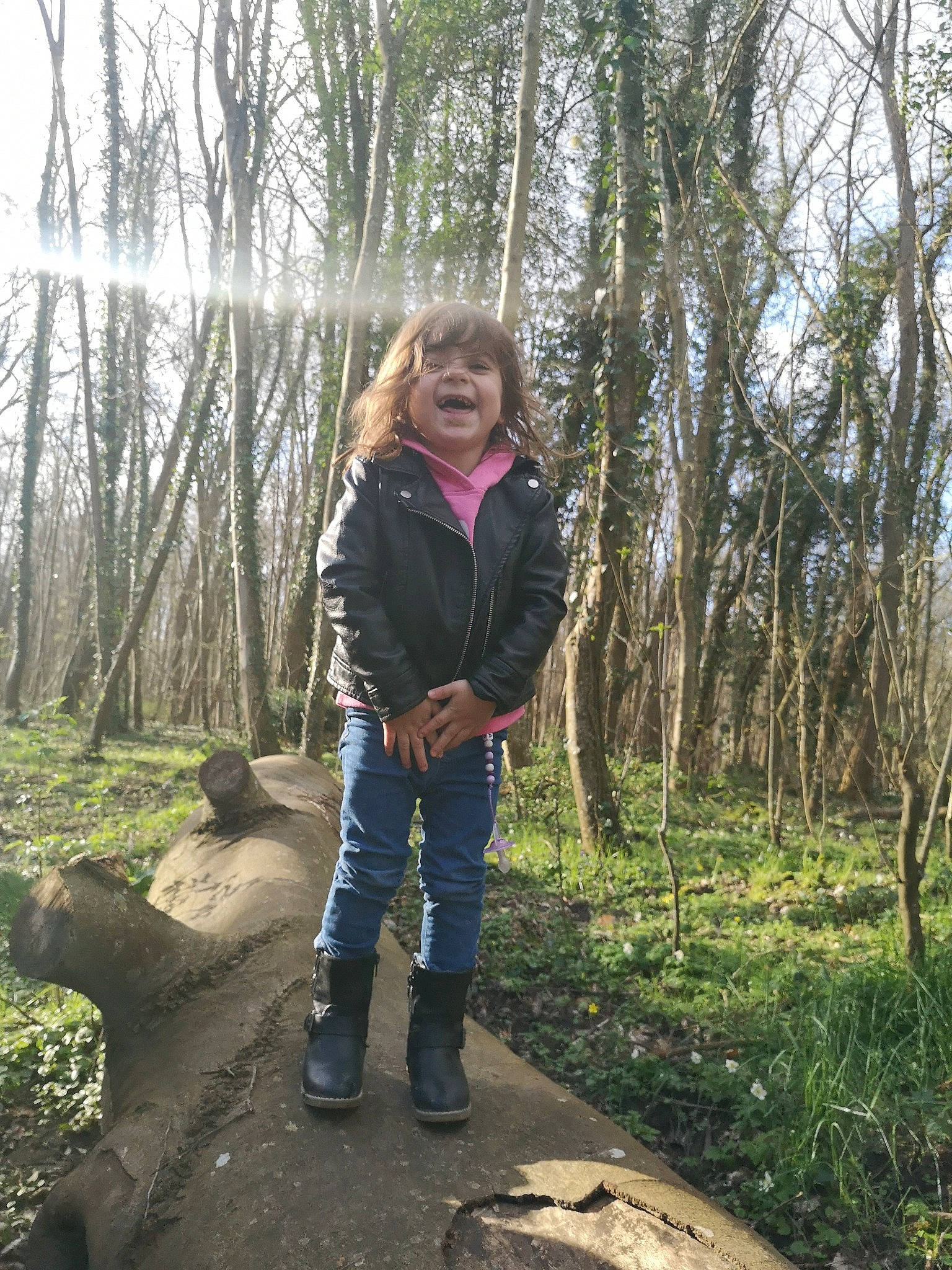 Gina participe au concours pour gagner de l'argent avec cette photo : forest, jacket, jeans, old_growth_forest, outerwear, person, plant, soil, tree, wilderness, woodland