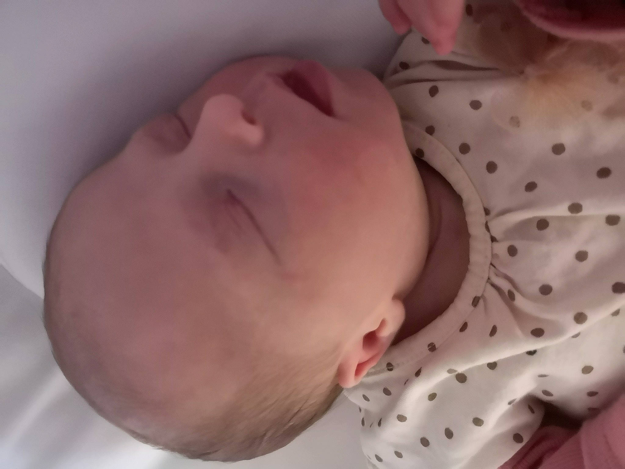 Mia participe au concours pour gagner de l'argent avec cette photo : baby, baby_toddler_clothing, cheek, comfort, eye, eyebrow, finger, hand, head, iris, lip, mammal, mouth, muscle, nose, person, pink, skin, sleeve, textile