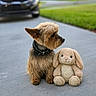 animal, bunny, car, collar, concrete, cute, daytime, dog, driveway, fur, grass, nature, outdoor, pet, plush_toy, side_view, small_dog, stuffed_animal, suburban, toy