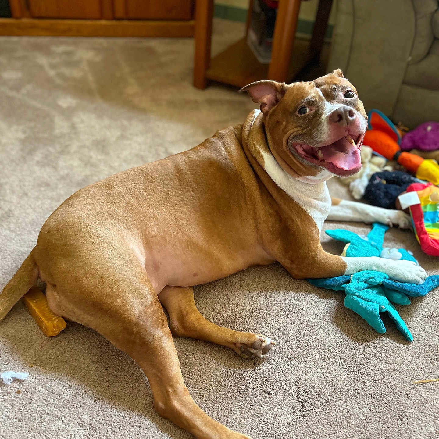 Luna