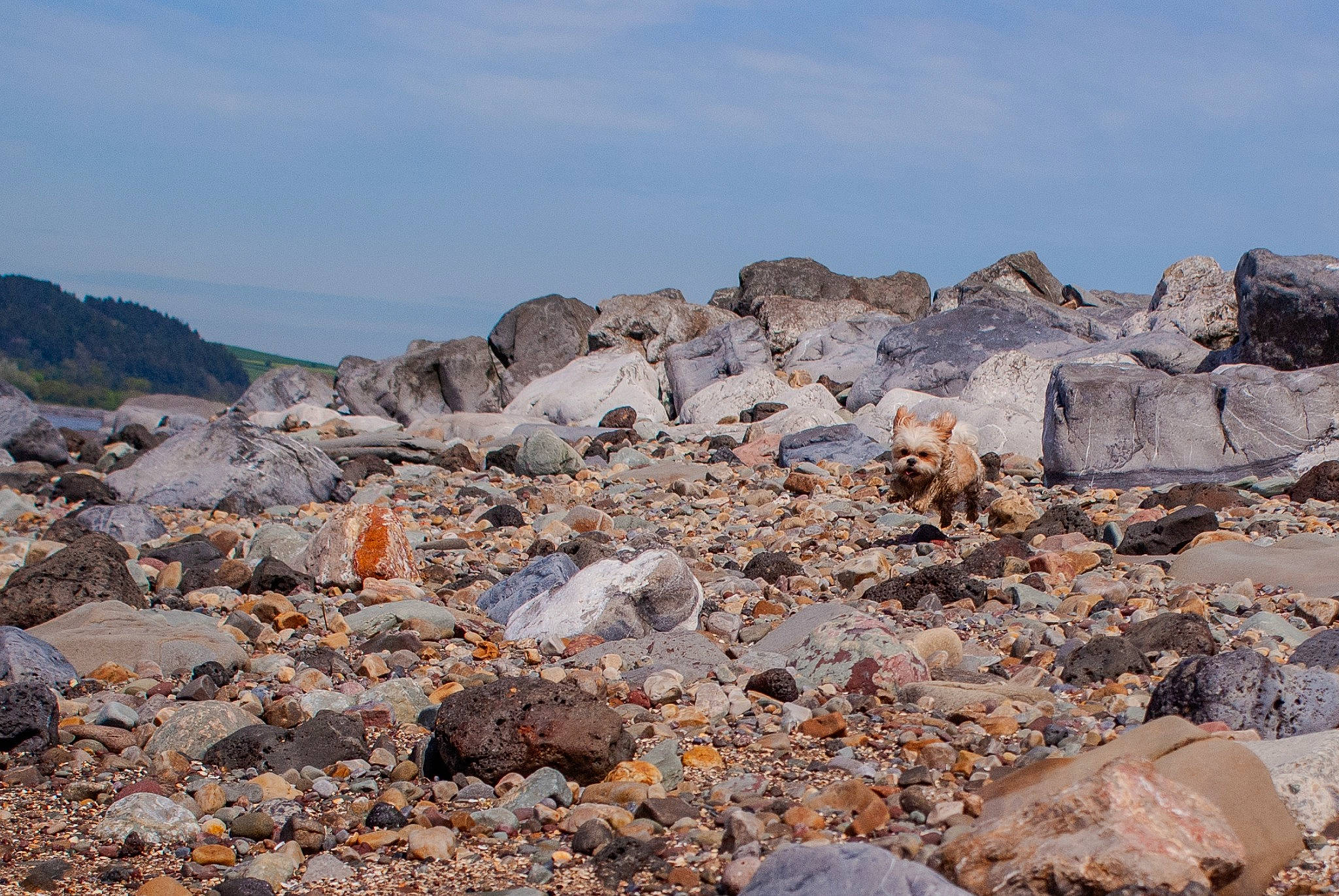 Hollie is registered to the contest to win money with this photo: bedrock, cloud, event, formation, gravel, hill, igneous_rock, landscape, limestone, mountain, mountain_range, natural_material, outcrop, rock, rubble, sand, sky, slope, soil, wood