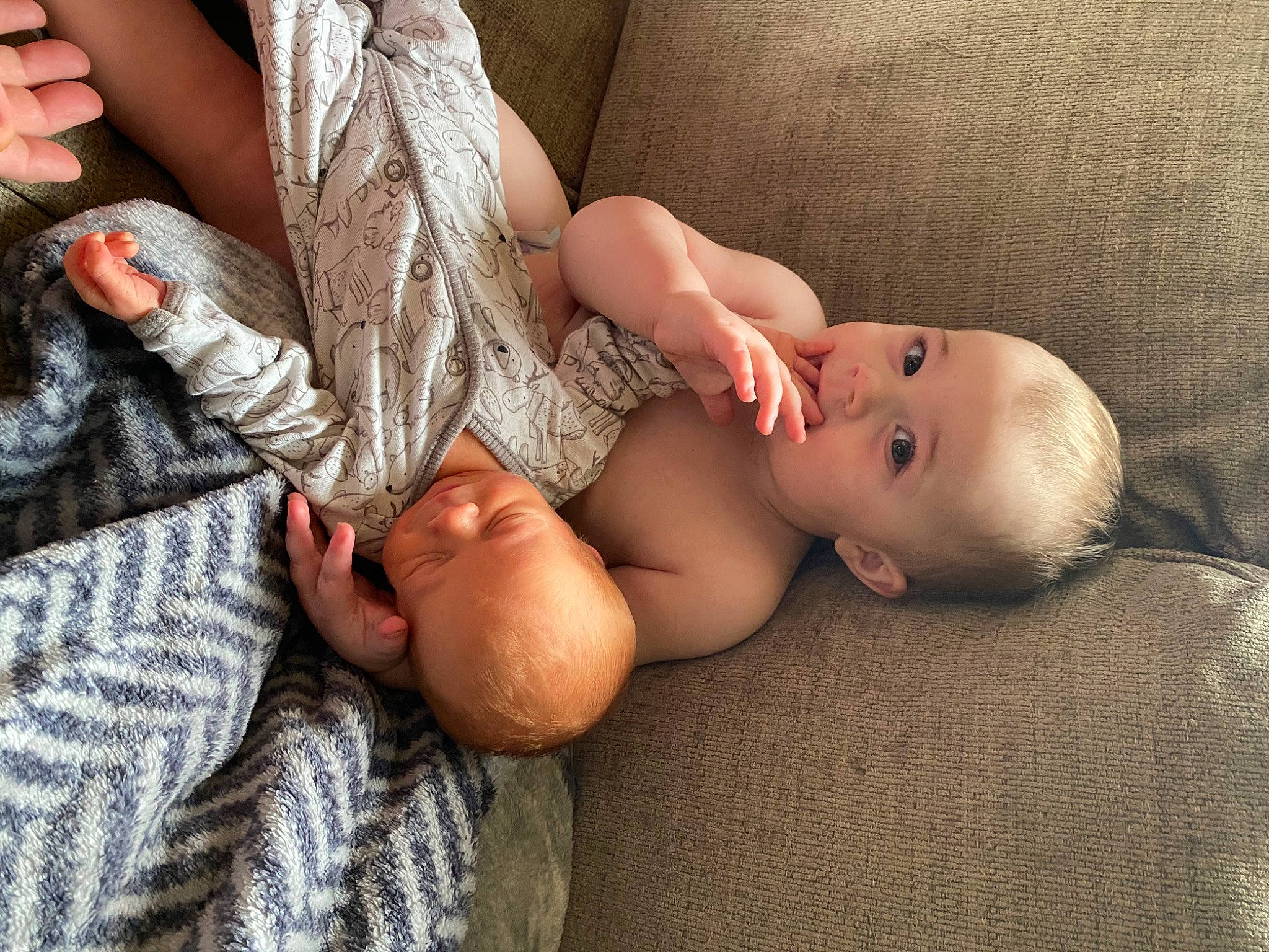 Kipp is registered to the contest to win money with this photo: abdomen, baby, chest, child, comfort, eye, finger, gesture, hand, headgear, human_body, joint, leg, mouth, person, skin, stomach, thigh, toddler, trunk