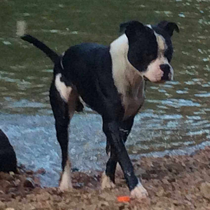 Kilo