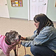 Lola Mae is registered to the contest to win money with this photo: dog, canine, pet, person, woman, denim_jacket, leash, sweater, waiting_room, veterinary_clinic, floor, door, brochure_rack, kneeling, interaction, senior_dog, indoor, portrait, smiling, affection