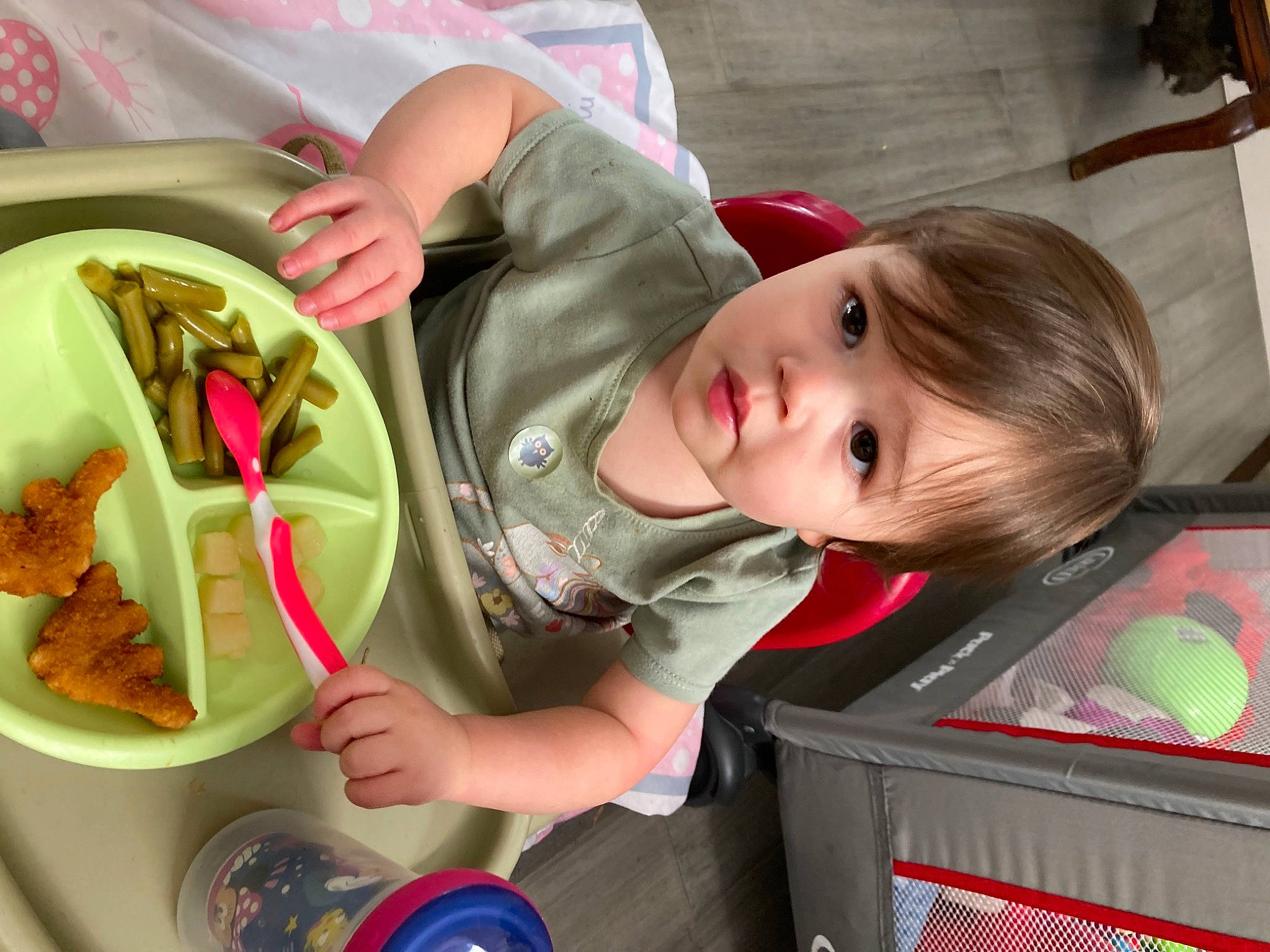 Alice joined the competition — help win amazing prizes! baby, child, comfort_food, cuisine, dish, finger_food, food, food_craving, fun, ingredient, junk_food, person, play, recipe, side_dish, tableware, toddler, vegetable