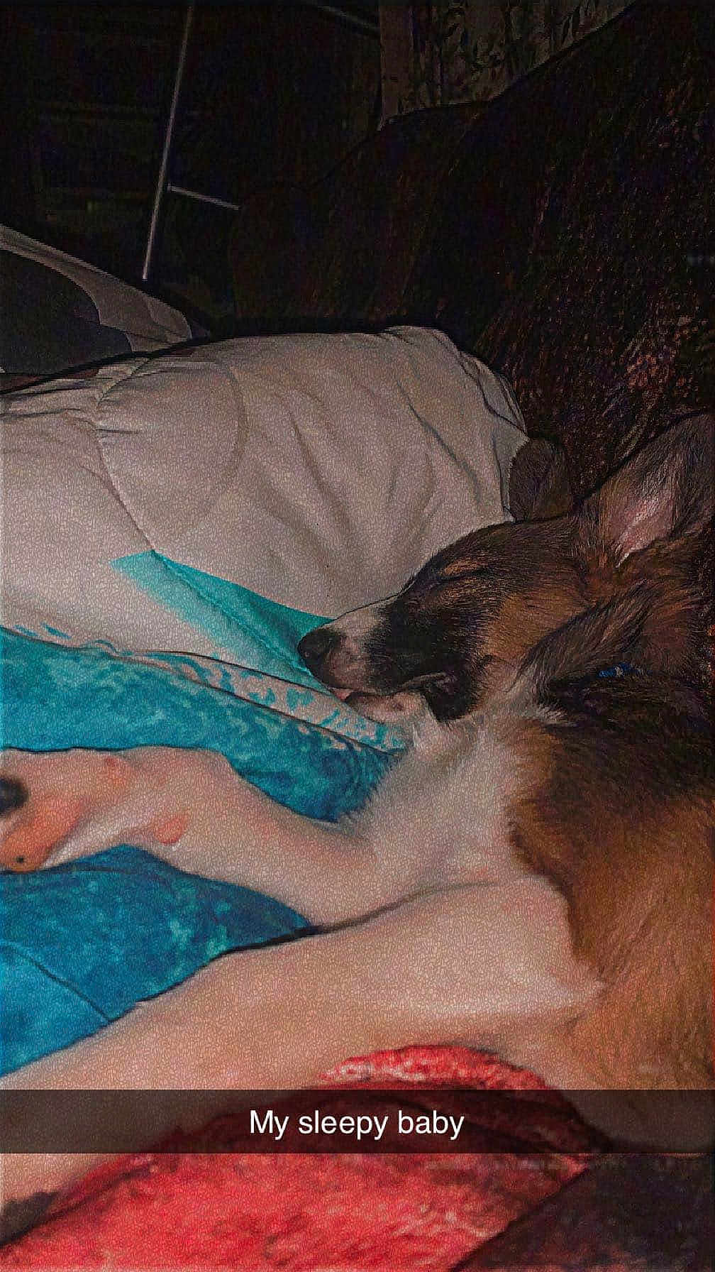 Bailey