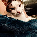 Florence B.