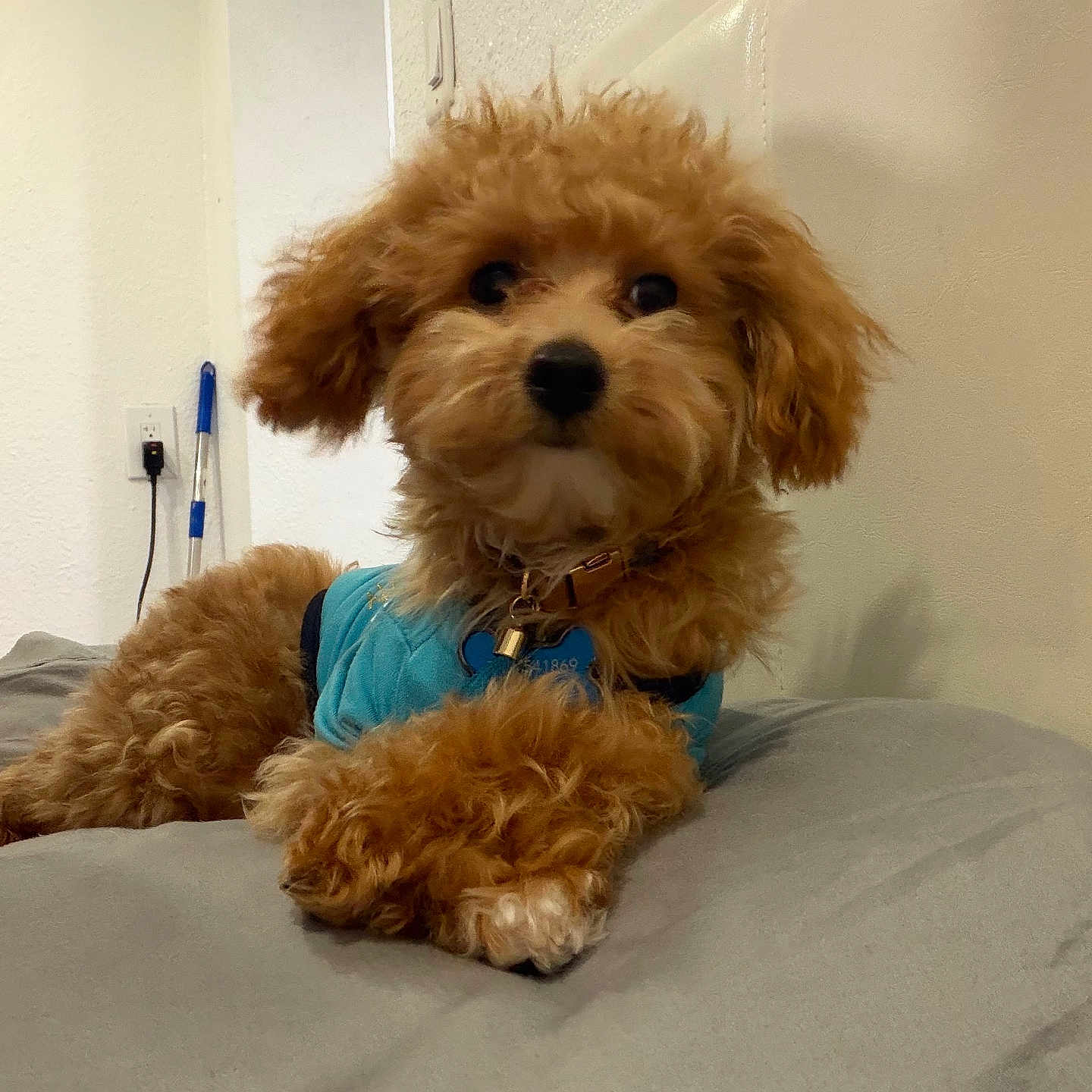 Milo