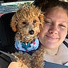 Milo is registered to the contest to win money with this photo: dog, person, selfie, car, vehicle, companion, pet, puppy, fluffy, curly_fur, brown_fur, collar, tags, clothing, striped_shirt, seatbelt, car_interior, face, smiling, outdoor