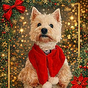Rosy participe au concours pour gagner de l'argent avec cette photo : animal, background, celebration, christmas, cute, decorations, dog, festive, festivity, fluffy, greenery, holiday, lights, pet, portrait, red_bow, scarf, seasonal, snowflakes, winter