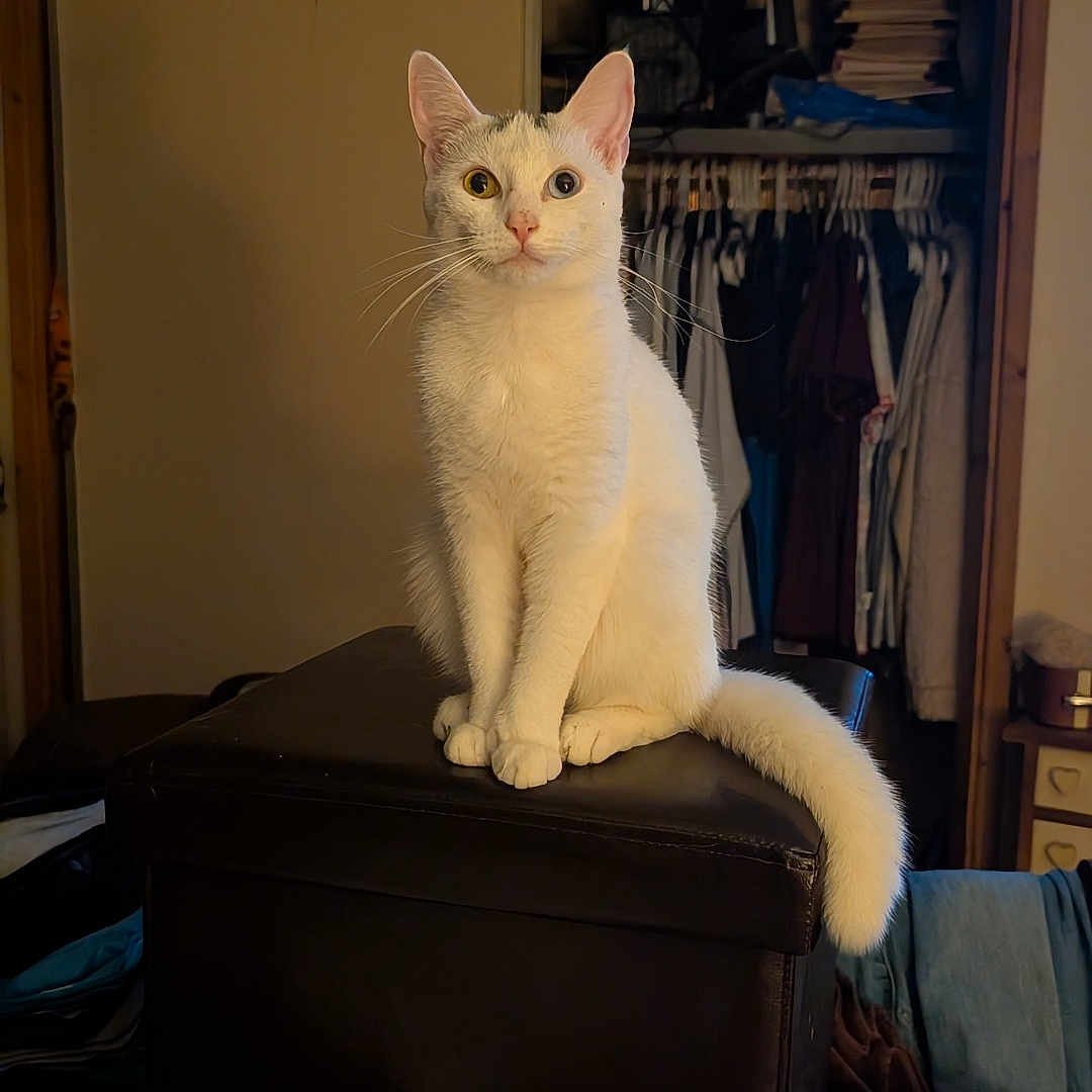 Luna