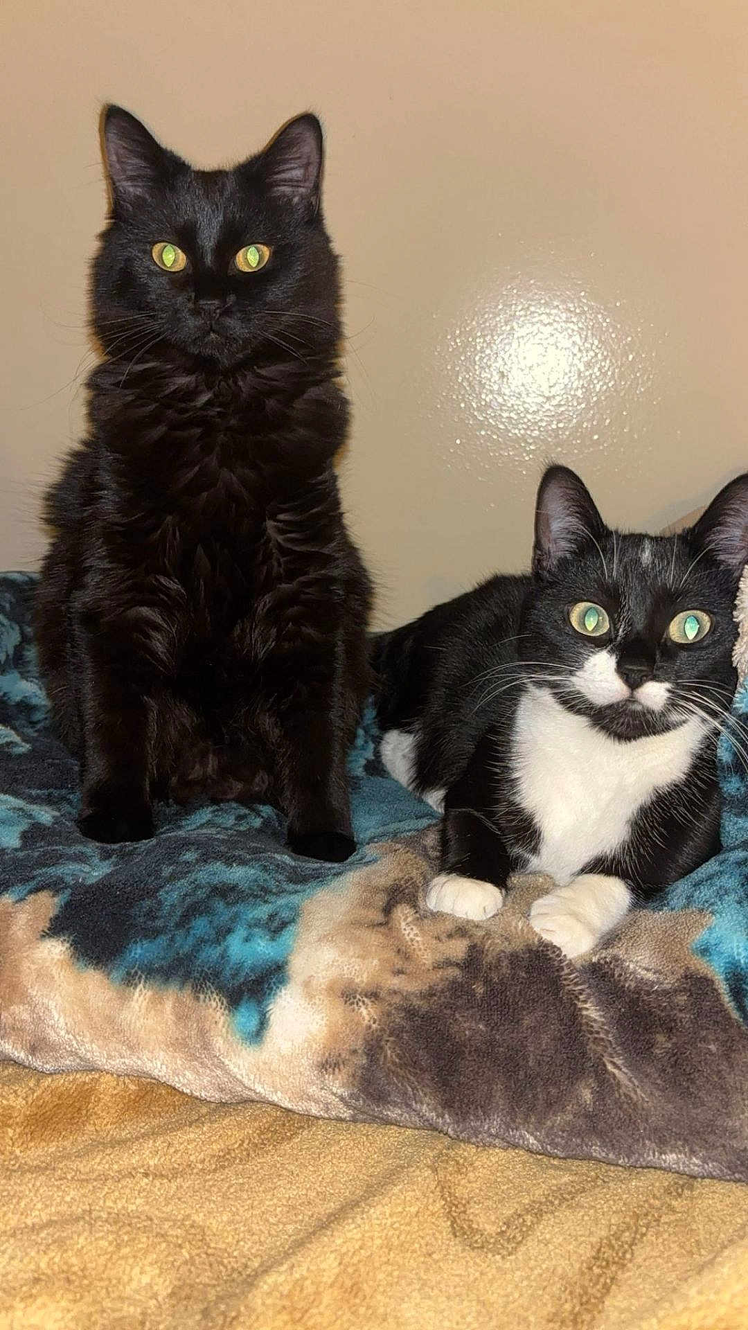 Caramel