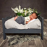 Silas is registered to the contest to win money with this photo: newborn, baby, bed, pillow, blanket, flowers, white_flowers, wood_floor, rug, gray_bed, infant, sleeping, portrait, indoor, cozy, soft_lighting, cute, peaceful, child, small_bed