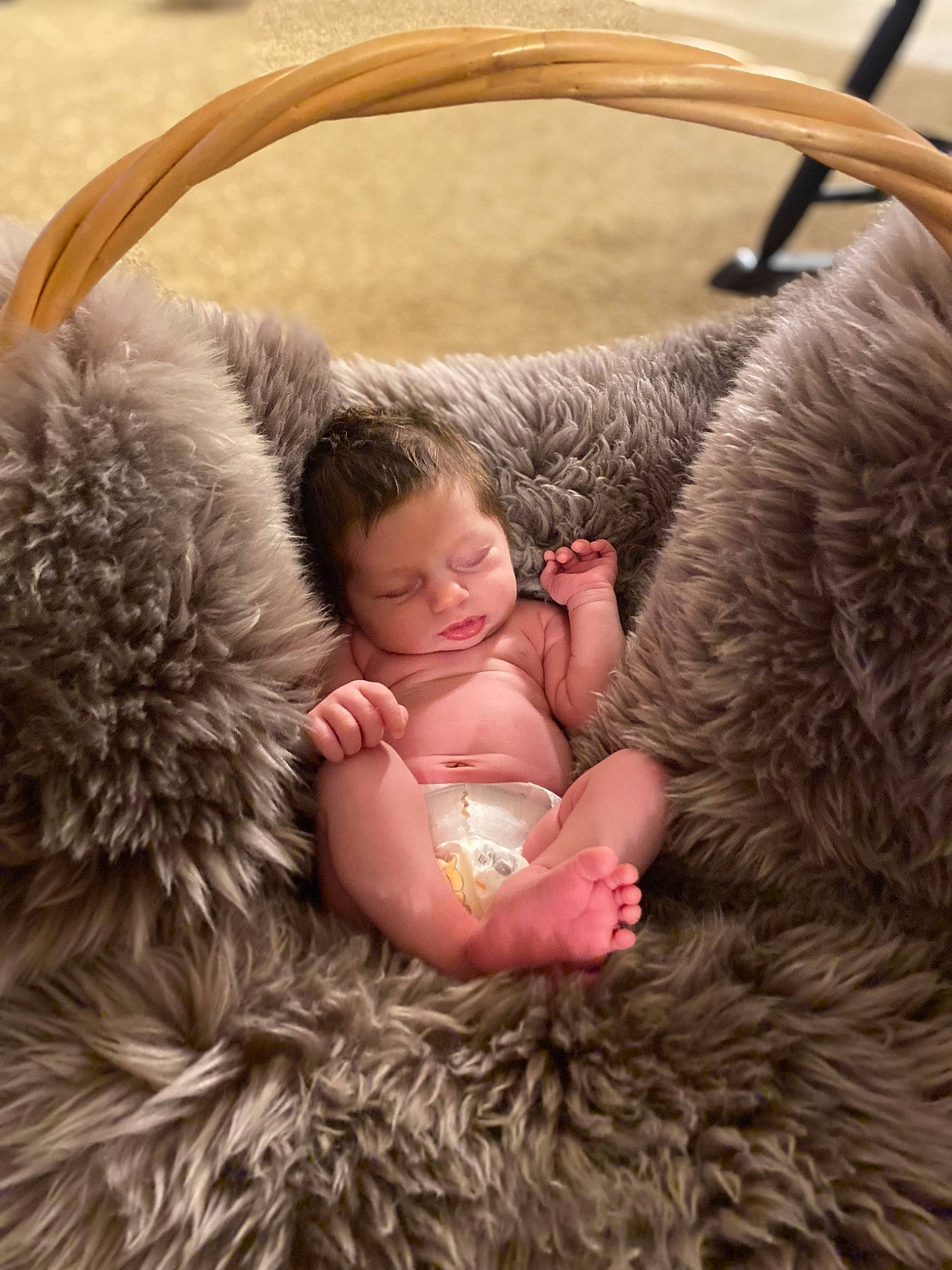 Athena joined the competition — help win amazing prizes! baby, canidae, child, comfort, dog_breed, event, fawn, fun, fur, fur_clothing, gesture, grass, happy, mammal, person, snout, sporting_group, stuffed_toy, toddler, toy