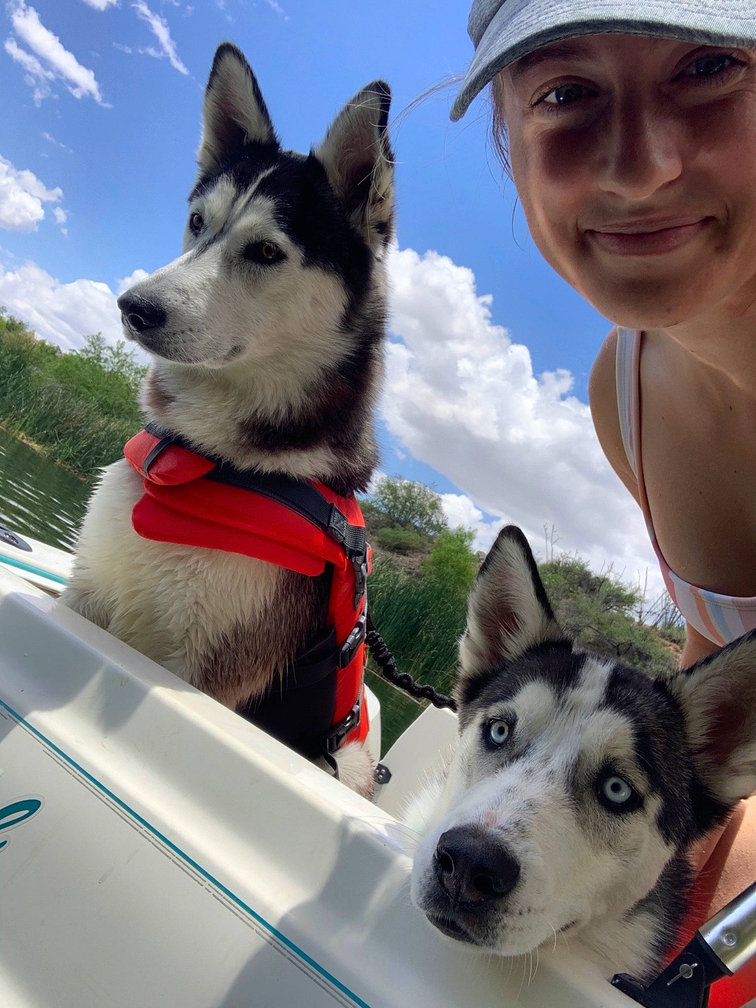 Malibu joined the competition — help win amazing prizes! boat, cap, carnivore, cloud, collar, companion_dog, dog, dog_breed, fawn, hat, leisure, mammal, recreation, sky, sled_dog, smile, travel, tree, vehicle, vertebrate