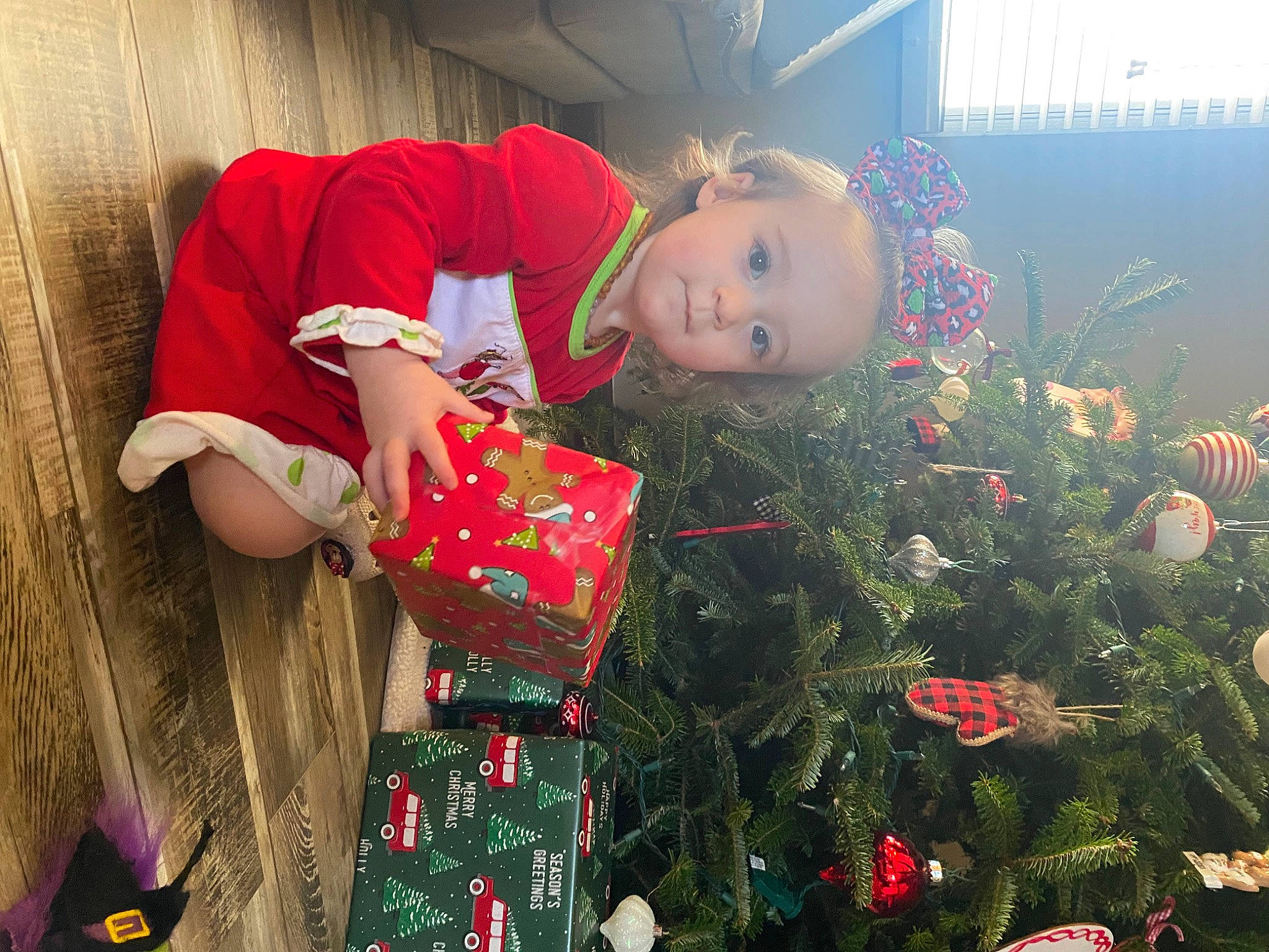 Emory is registered to the contest to win money with this photo: christmas, christmas_decoration, christmas_eve, christmas_ornament, christmas_tree, conifer, event, fun, grass, happy, holiday, holiday_ornament, lap, leaf, ornament, people_in_nature, person, plant, red, toddler