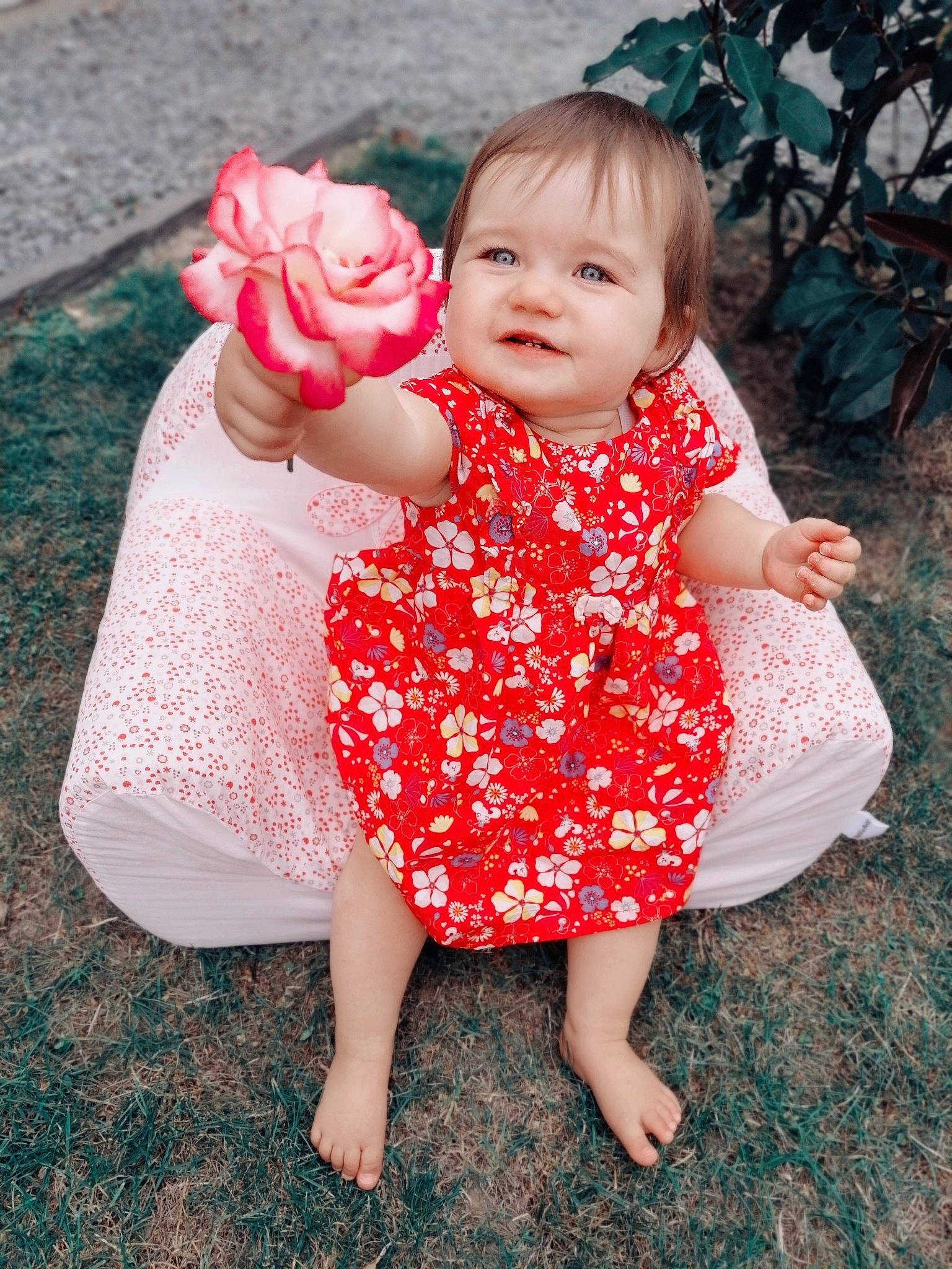 Lauréline participe au concours pour gagner de l'argent avec cette photo : baby, baby_toddler_clothing, beauty, child, child_model, design, dress, flower, grass, joy, pattern, person, photograph, photography, pink, plant, red, sitting, skin, spring