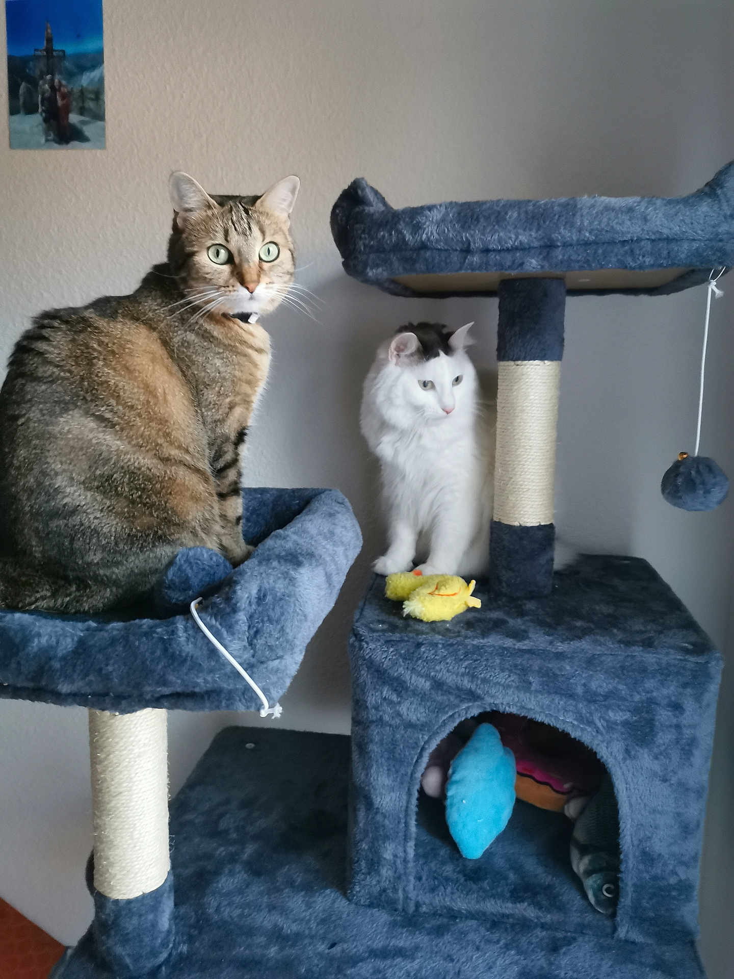 Sylka Et Uki