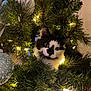 bauble, black_and_white_cat, cat, christmas_lights, christmas_tree, close_up, cozy, curious, decoration, festive, greenery, holiday, indoors, kitten, ornament, peeking, pet, pine_needles, playful, whiskers