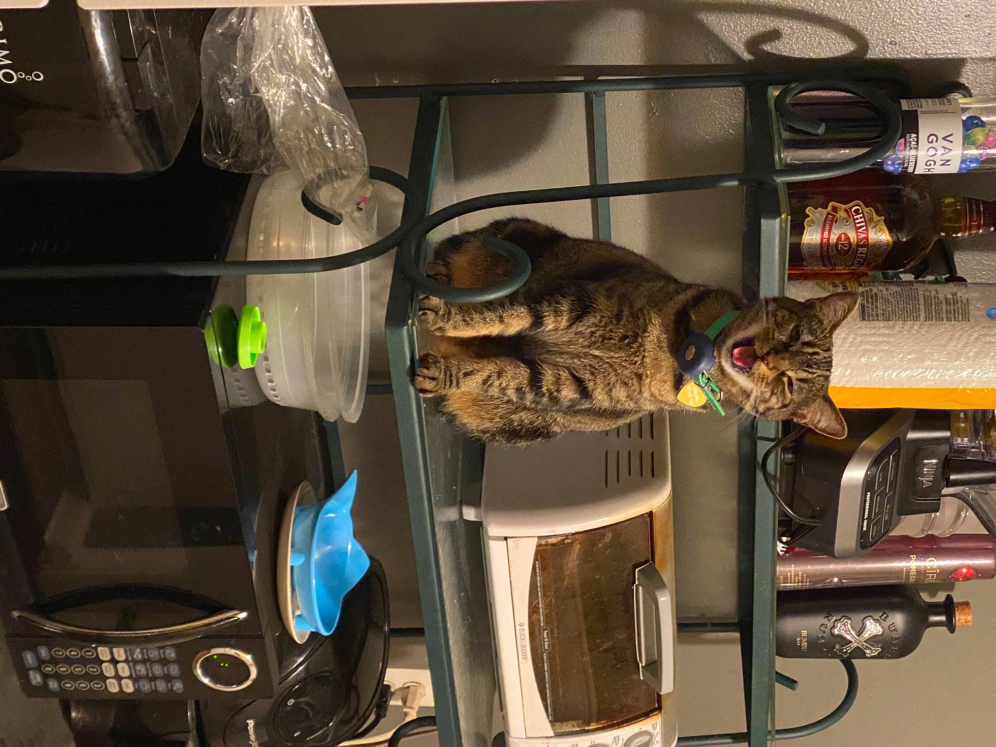 Katniss joined the competition — help win amazing prizes! audio_equipment, auto_part, automotive_design, cable, cable_management, computer_hardware, electrical_supply, electrical_wiring, engineering, eyewear, gas, hat, machine, metal, motor_vehicle, personal_protective_equipment, room, wire