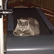 Dusty joined the competition — help win amazing prizes!