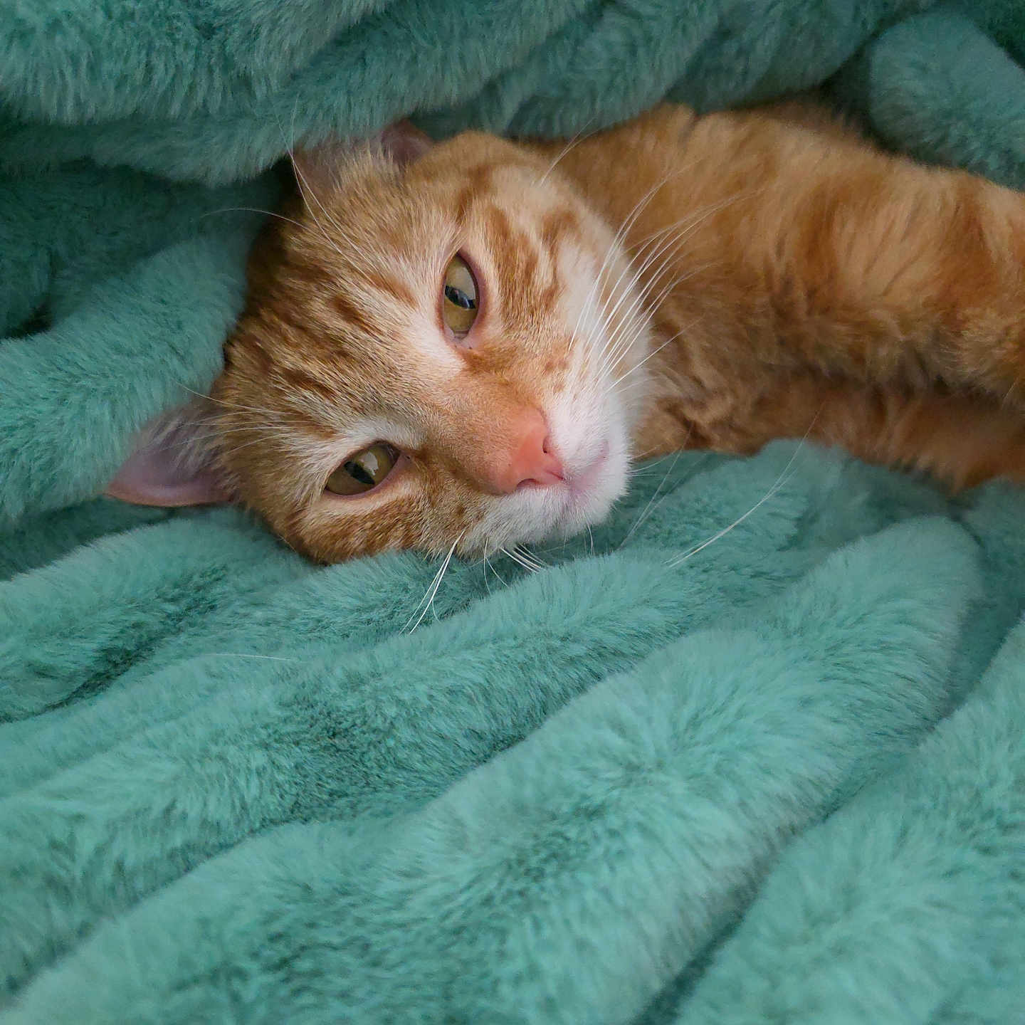 Oliver