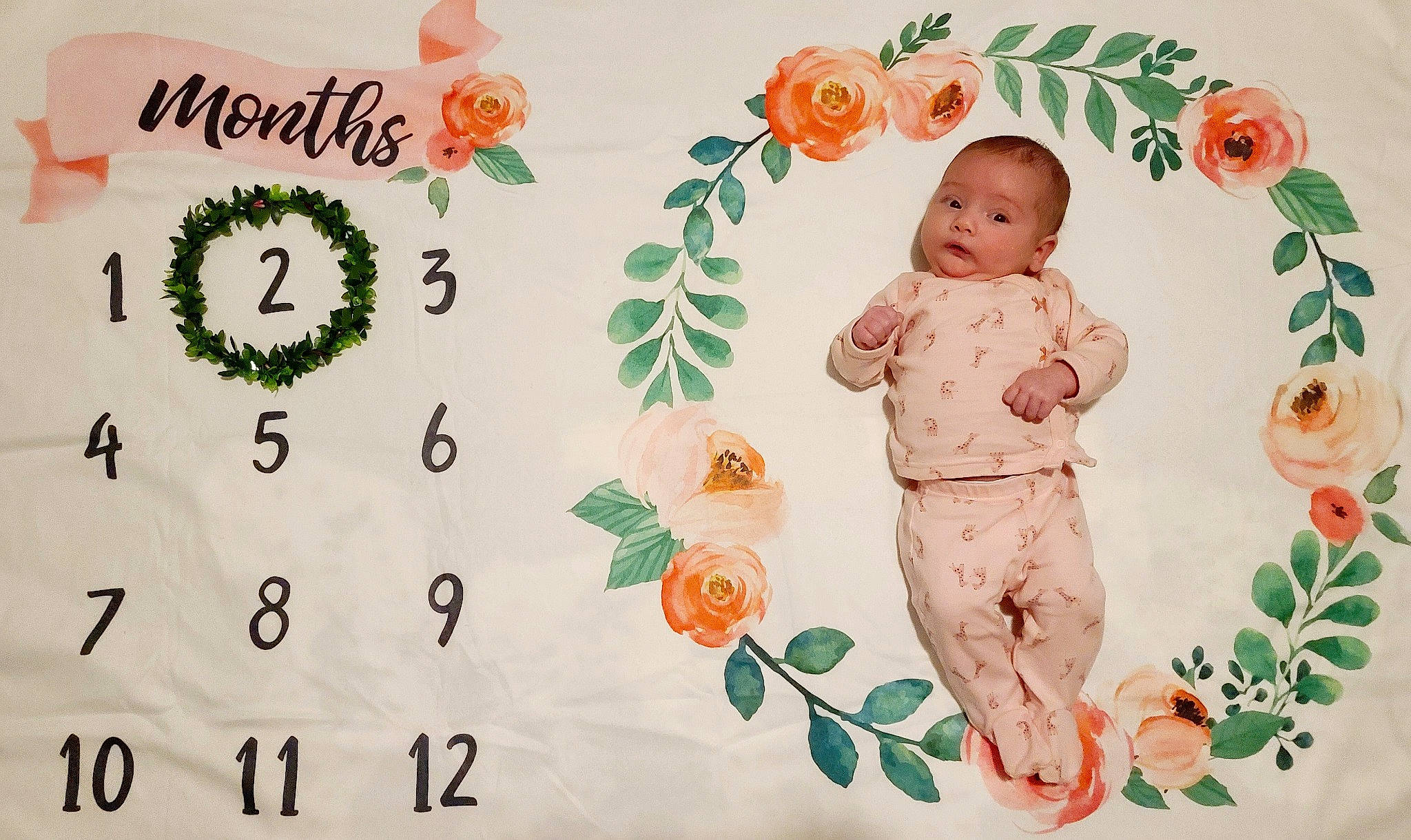 Raegan is registered to the contest to win money with this photo: child, font, illustration, person, pink, plant, toddler