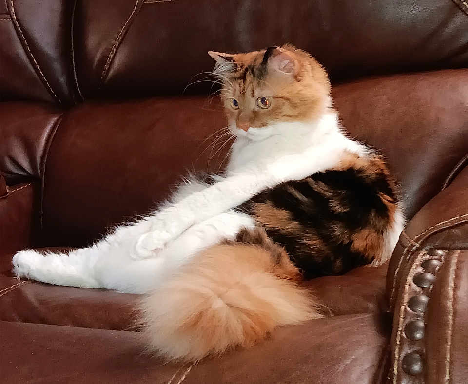 Lucy