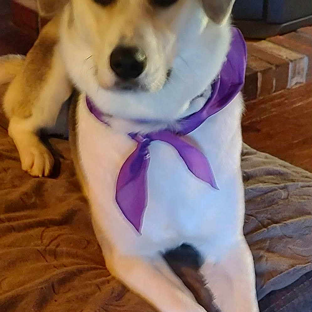 Belle