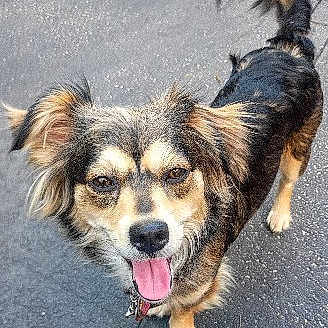 Coco