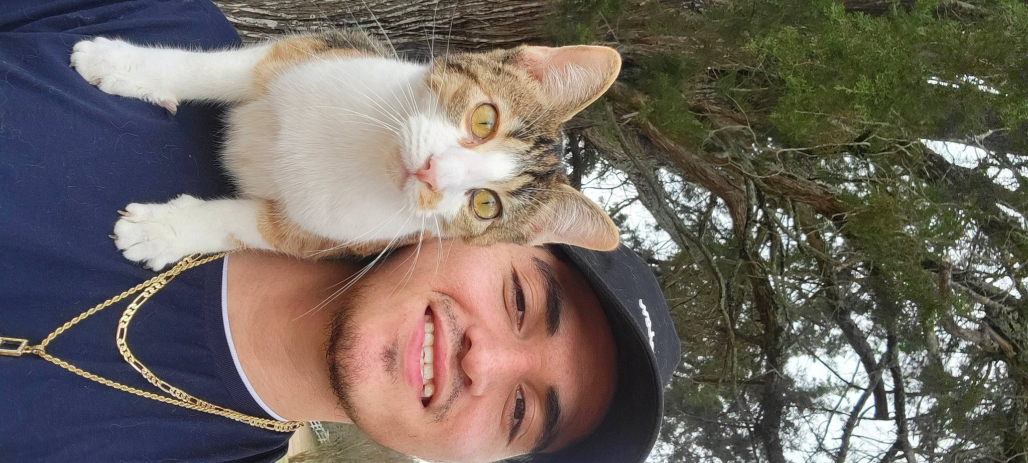 Jenny joined the competition — help win amazing prizes! carnivore, cat, domestic_short_haired_cat, fawn, felidae, fur, gesture, grass, happy, jaw, paw, plant, selfie, small_to_medium_sized_cats, smile, snout, sunglasses, tail, tree, whiskers