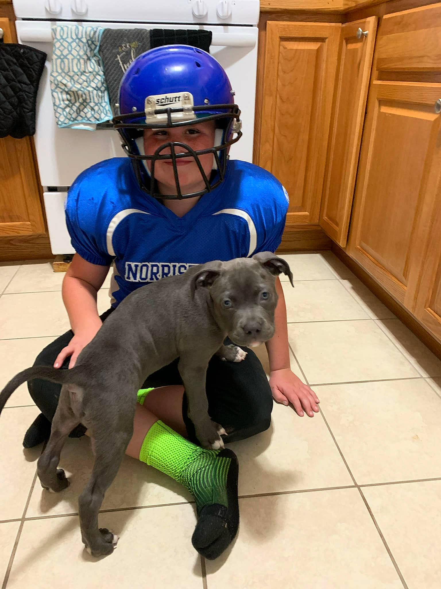 Diezel joined the competition — help win amazing prizes! blue, cabinetry, canidae, carnivore, companion_dog, dog, dog_breed, electric_blue, flooring, helmet, personal_protective_equipment, shoe, snout, sporting_group, sports_gear, sportswear, stuffed_toy, t_shirt, toy, working_animal