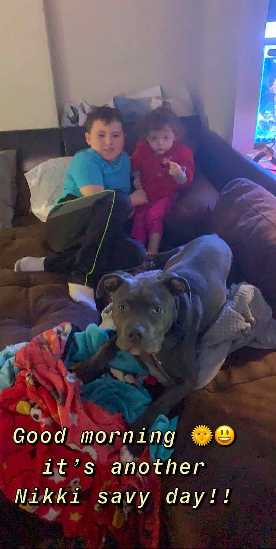 Diezel joined the competition — help win amazing prizes! carnivore, child, comfort, companion_dog, couch, dog, dog_breed, fun, head, lap, living_room, mammal, pillow, room, sitting, stuffed_toy, t_shirt, toddler, toy, vertebrate