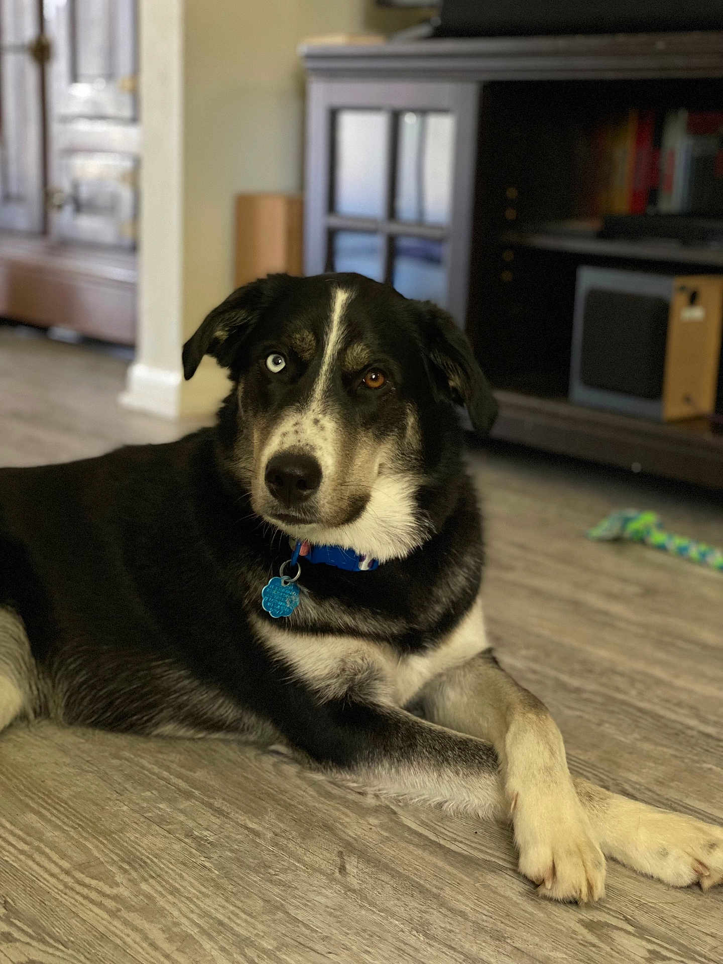Ella