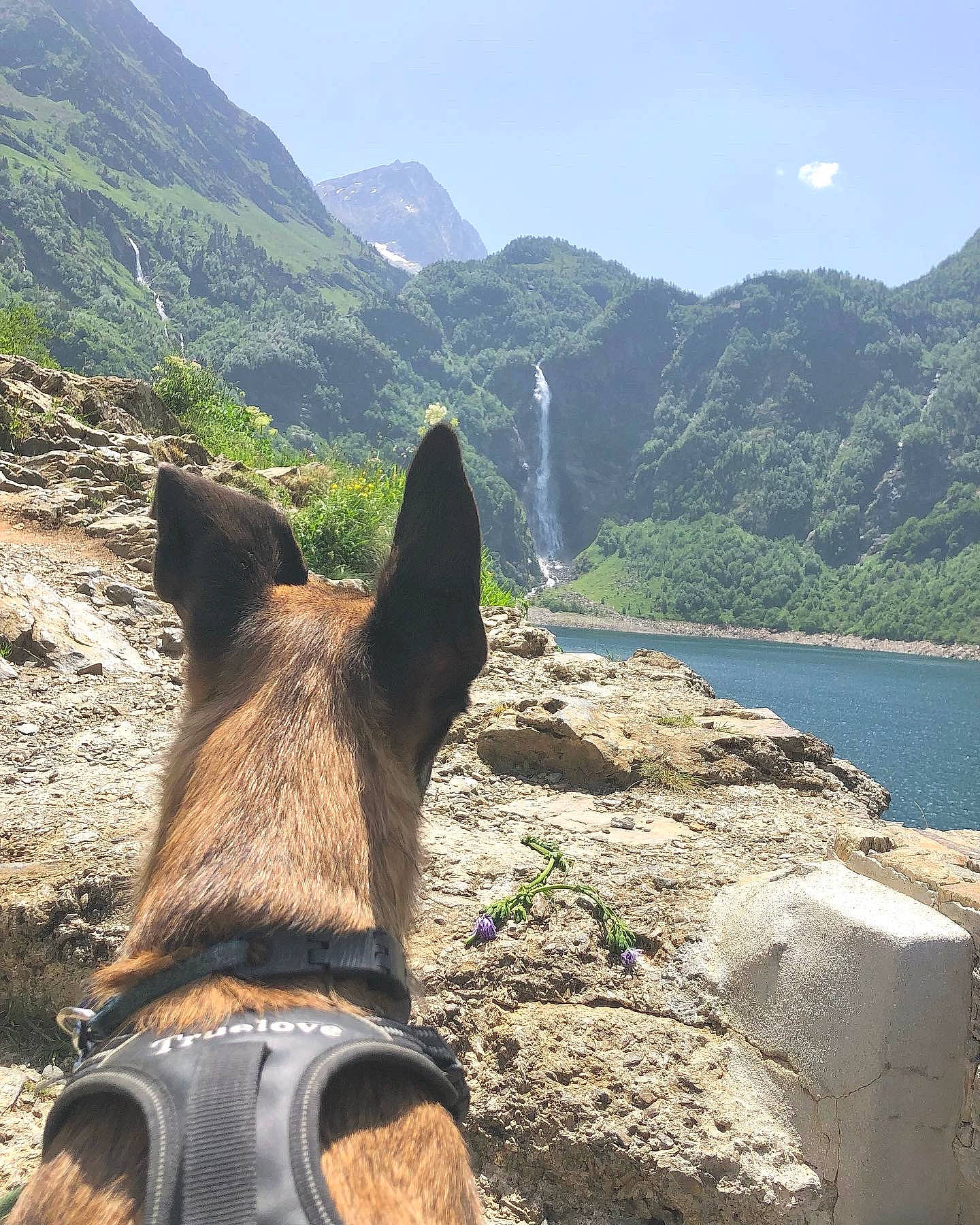 Priam a rejoint le concours — aidez-le/la à gagner de superbes lots ! grass, highland, hill, horse, lake, landscape, leisure, mountain, mountain_range, mountainous_landforms, pack_animal, plant, recreation, sky, travel, tree, water, watercourse, wood, working_animal