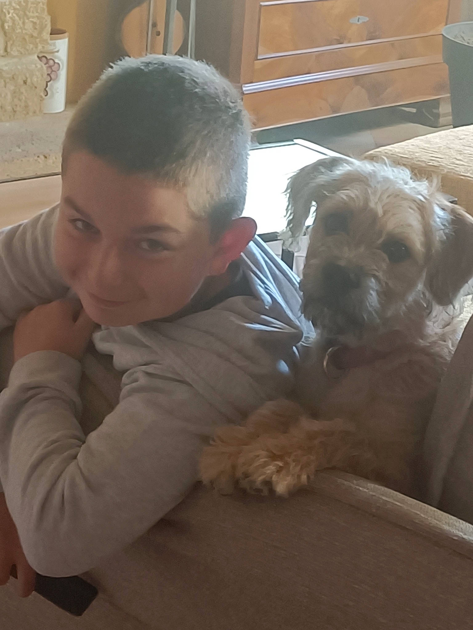 Djouby participe au concours pour gagner de l'argent avec cette photo : buzz_cut, canidae, carnivore, child, comfort, companion_dog, dog, dog_breed, fawn, flooring, fun, fur, sitting, skin, snout, sporting_group, toy_dog, wood, working_animal, wrinkle