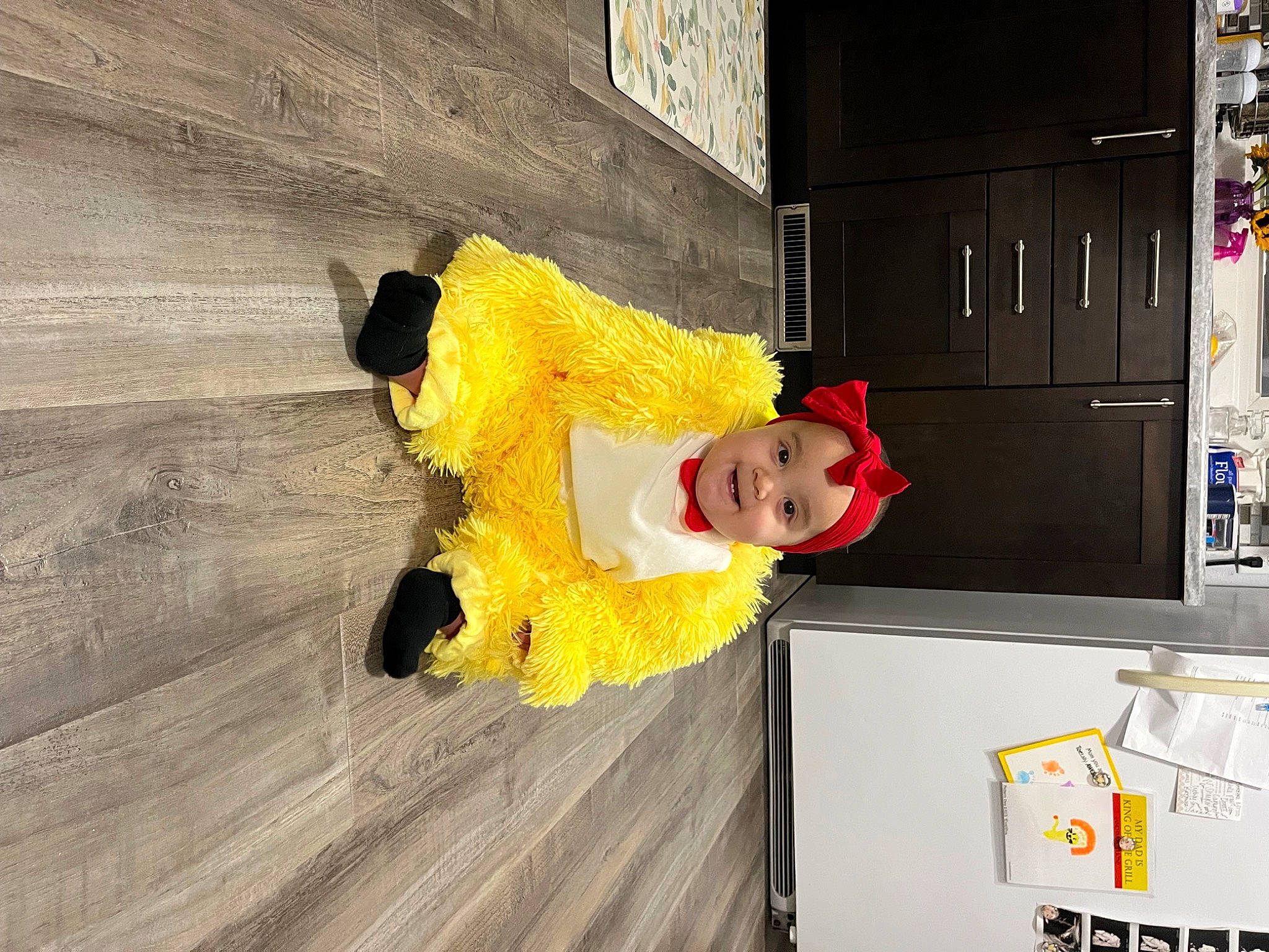 Evalina is registered to the contest to win money with this photo: cabinetry, door, flooring, fun, fur, hardwood, headwear, joy, machine, person, room, toddler, wood, wood_flooring
