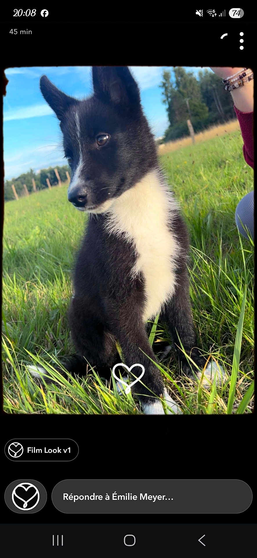 Aslan a rejoint le concours — aidez-le/la à gagner de superbes lots ! puppy, dog, black_and_white, grass, outdoor, field, sky, person, animal, nature, cute, pet, young_dog, sitting, fur, ears, snout, daytime, greenery, attention
