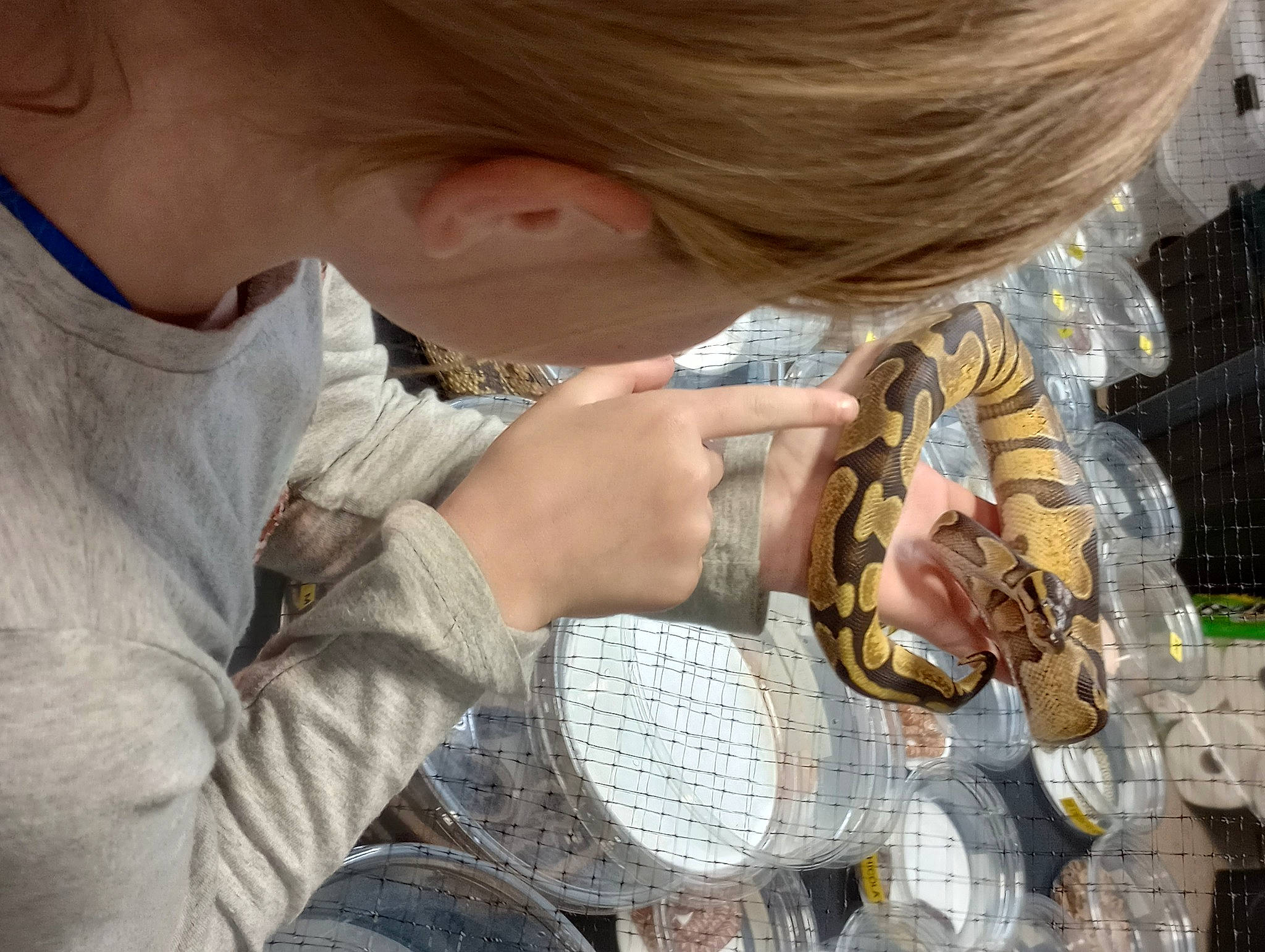 Alice joined the competition — help win amazing prizes! child, eyelash, fun, glass, jewellery, nail, person, reptile, sharing, snake, visual_arts, wrist