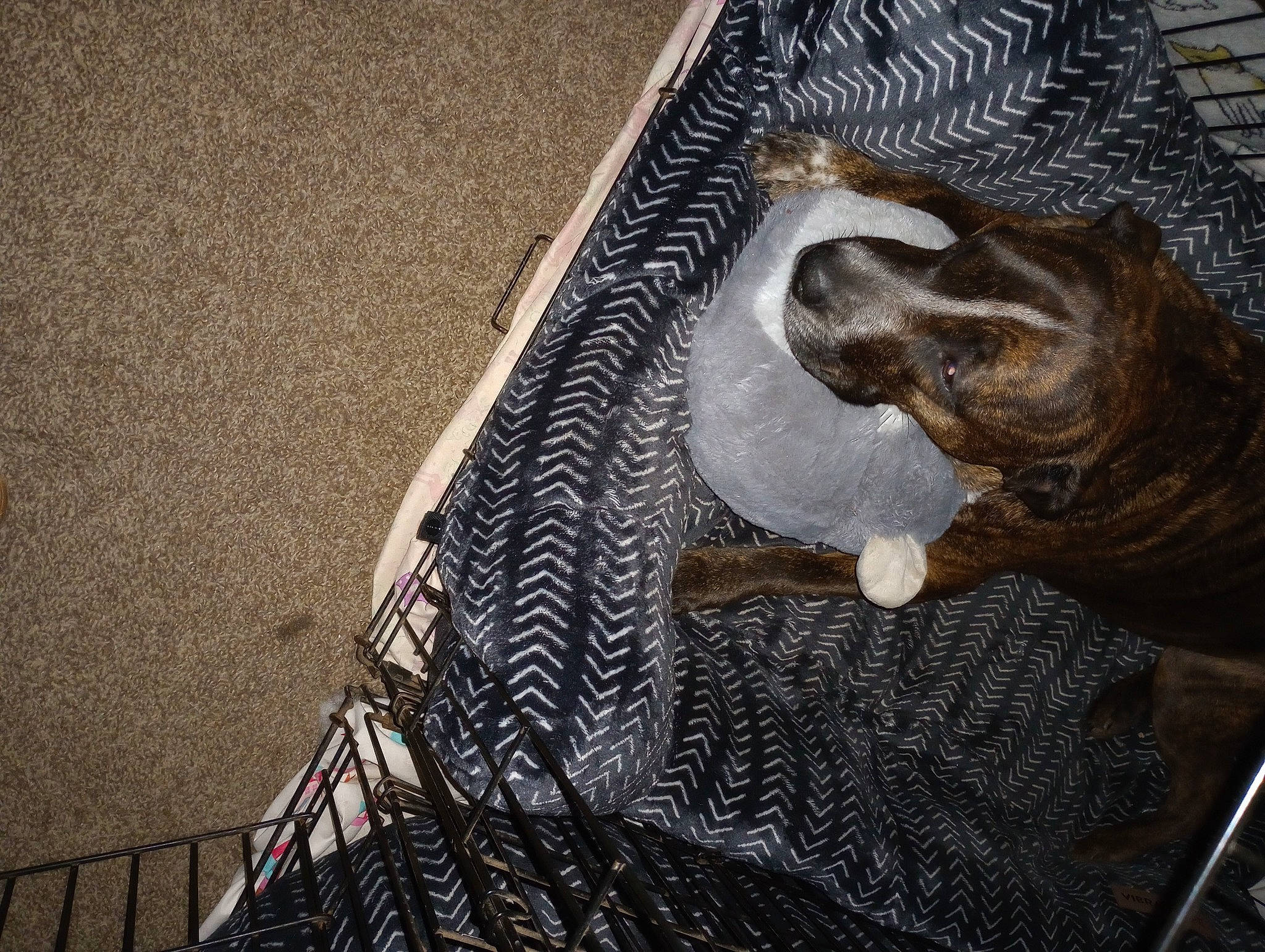 Damon joined the competition — help win amazing prizes! african_elephant, art, asphalt, bull, elephant, facade, graffiti, grey, indian_elephant, metal, mural, painting, pattern, road_surface, sculpture, terrestrial_animal, visual_arts, wall, working_animal, wrinkle