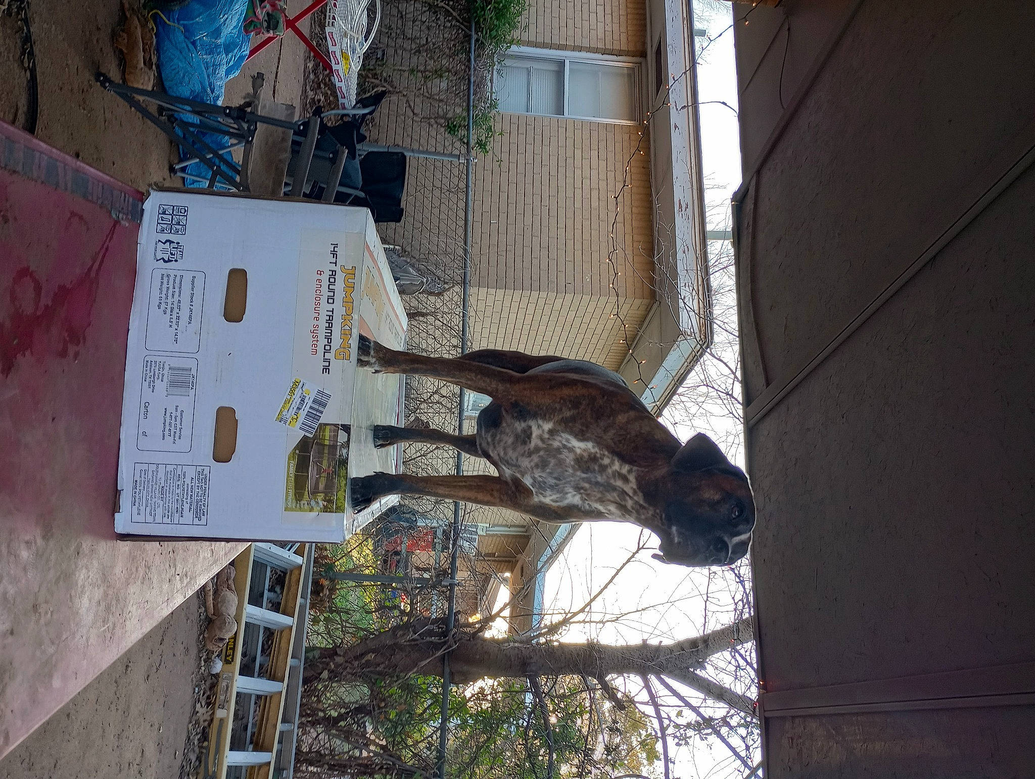 Damon is registered to the contest to win money with this photo: art, building, city, electrical_supply, electrical_wiring, electricity, facade, metal, plant, sculpture, statue, tree, trunk, urban_design, visual_arts, window, wood