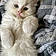 Snowbell