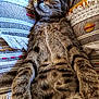 kitten, cat, sleeping, close_up, tabby, fur, pillows, texture, cozy, relaxed, indoor, cute, pet, animal, resting, soft, pattern, colorful, comfort, peaceful