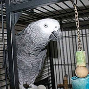 Coco a rejoint le concours — aidez-le/la à gagner de superbes lots !