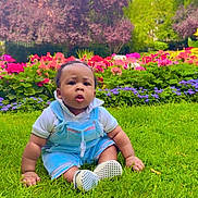 Adel joined the competition — help win amazing prizes! baby, child, grass, flowers, greenery, outdoor, nature, overalls, blue_clothing, cute, portrait, sitting, lawn, plants, colorful, daylight, curious, young_child, garden, summer