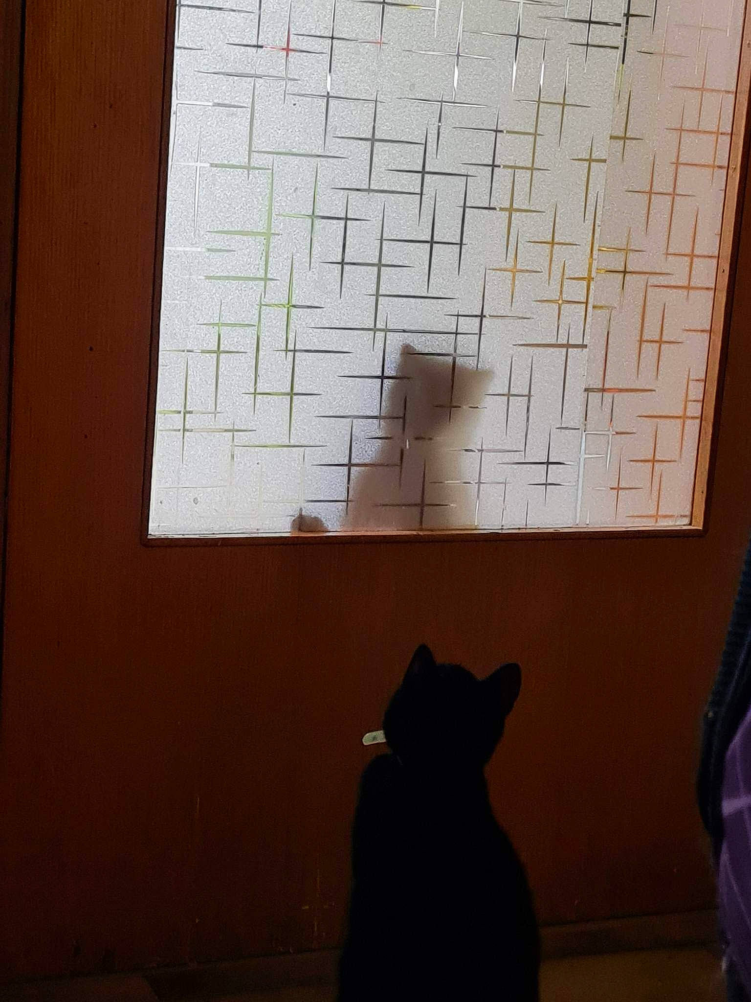 Kio participe au concours pour gagner de l'argent avec cette photo : art, brick, brown, carnivore, door, floor, flooring, font, hardwood, interior_design, light, line, rectangle, room, shade, tints_and_shades, tree, wall, wood, wood_stain