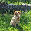 Claudine B.